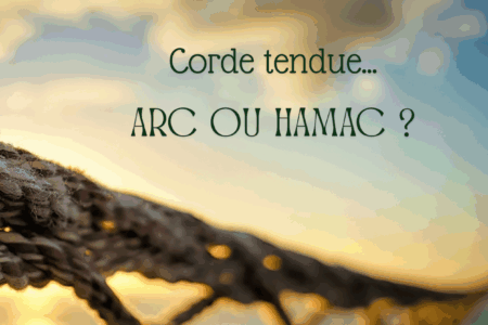 L’arc et le hamac, la dynamique de nos engagements